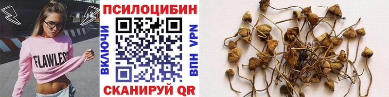 как найти закладки  Наро-Фоминск  Галлюциногенные грибы Psilocybine cubensis 